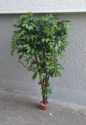 049 Veštačka stabla bendžamina